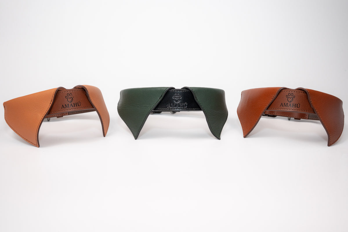 Collar Apolo Verde/Negro Grande